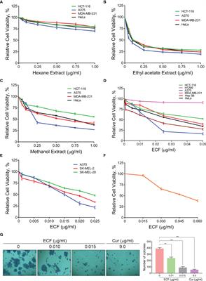 Cucurbitacin B, Purified and Characterized From the Rhizome of Corallocarpus epigaeus Exhibits Anti-Melanoma Potential